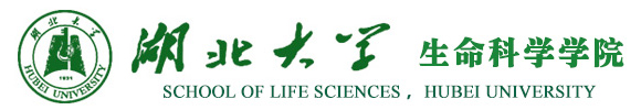 赢咖3-赢咖3